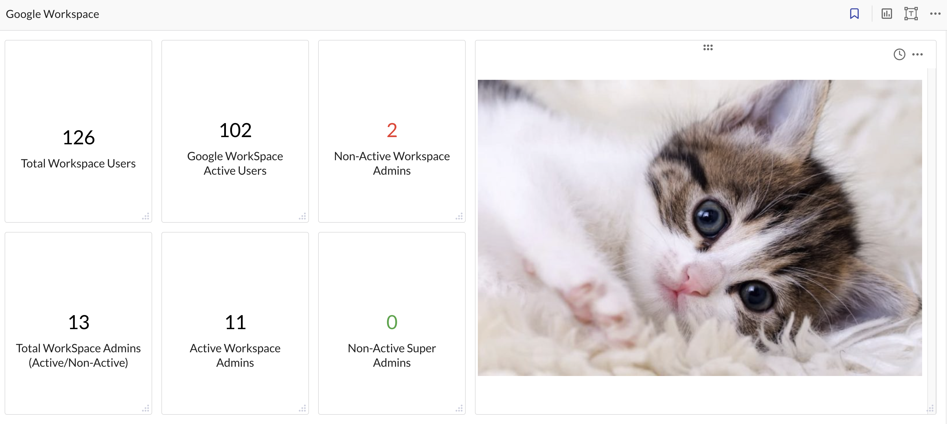 JupiterOne Insights dashboard with a markdown widget featuring an image of a cute kitten
